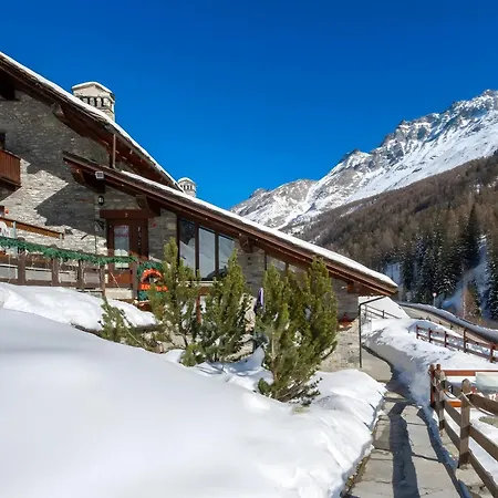 Arthemisia - Rhêmes-notre-dame