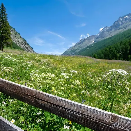 Casa de hóspedes Arthemisia - Rhêmes-notre-dame 3*
