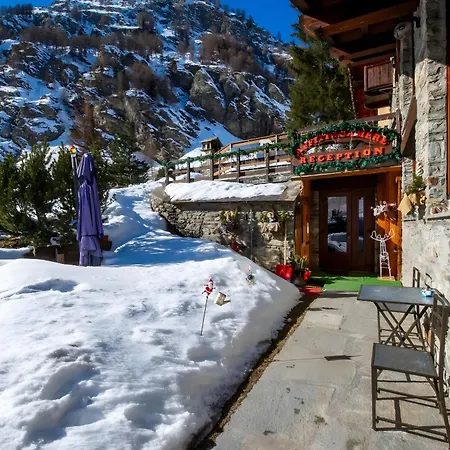 Arthemisia - Rhêmes-notre-dame