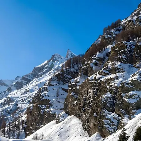 Arthemisia - Rhêmes-notre-dame Rhêmes-Notre-Dame